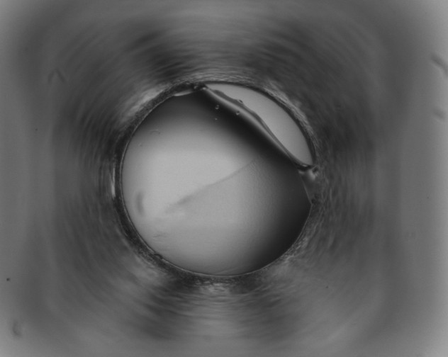 X0000090980062200708241412