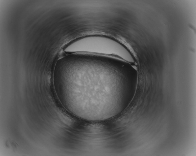 X0000090980063200708241412