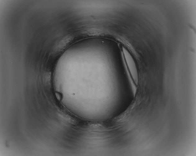 X0000090980066200708241412