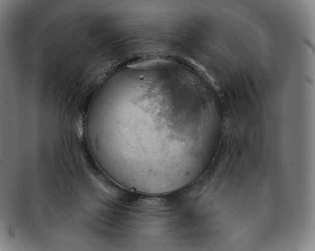X0000090980069200708241412