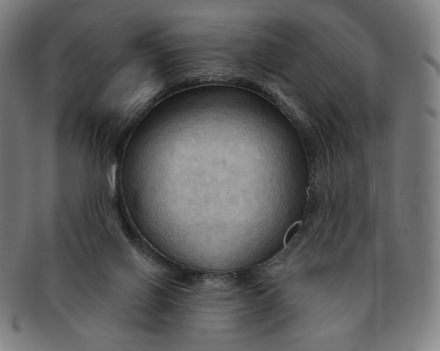 X0000090980070200708241412