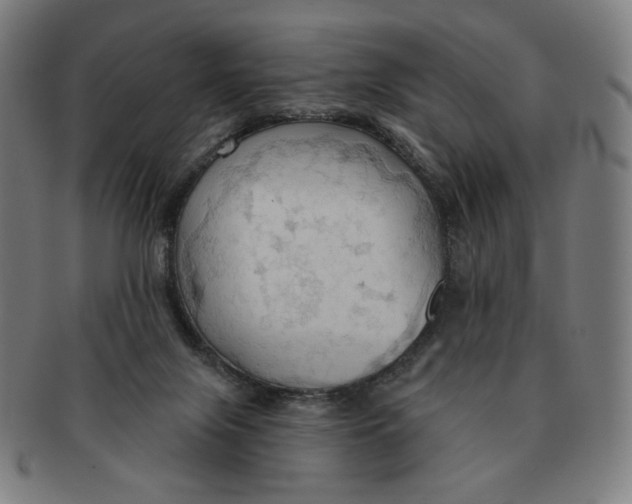 X0000090980071200708241412