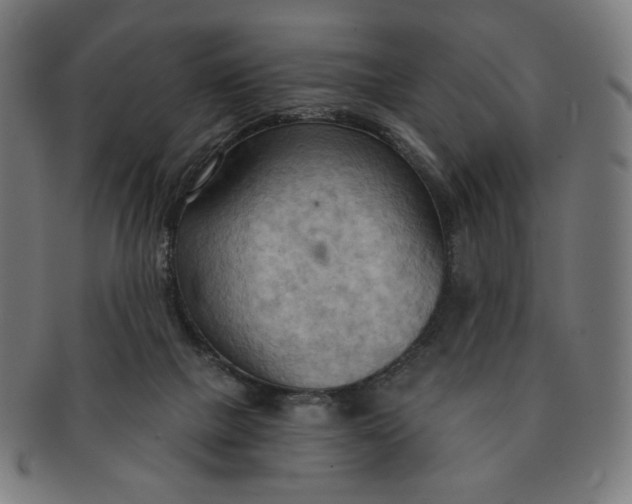 X0000090980073200708241412