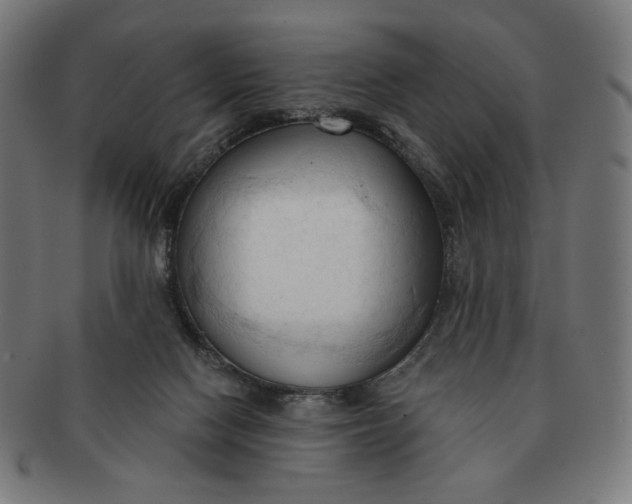 X0000090980074200708241412
