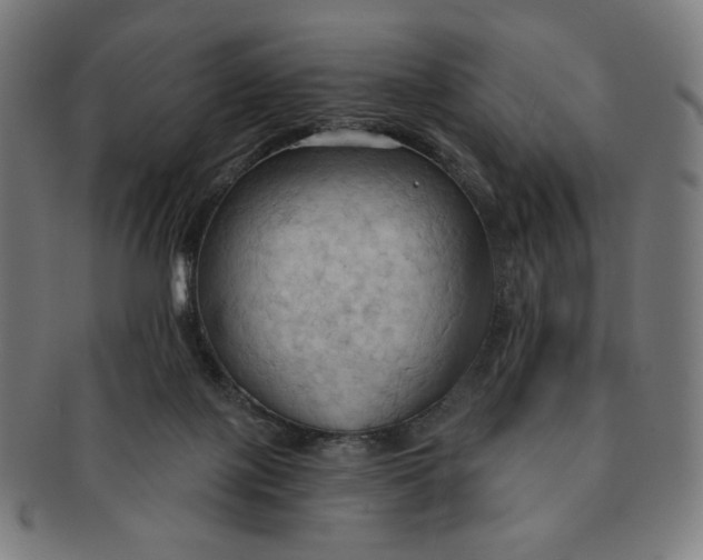 X0000090980075200708241412