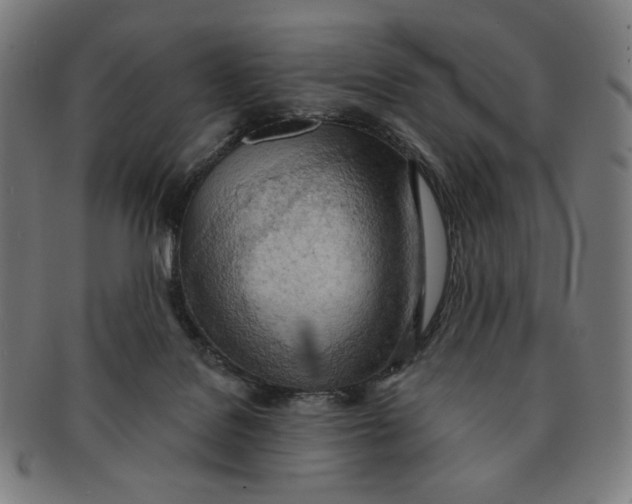 X0000090980076200708241412