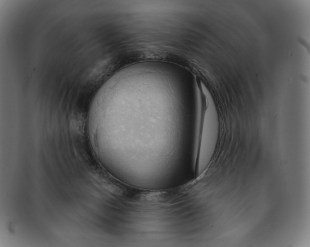 X0000090980078200708241413