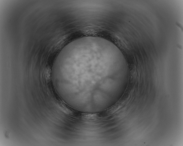 X0000090980081200708241413