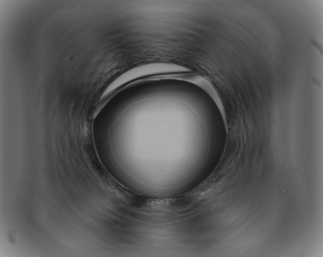 X0000090980084200708241413
