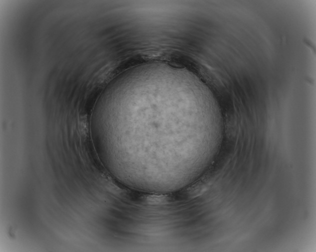 X0000090980085200708241413