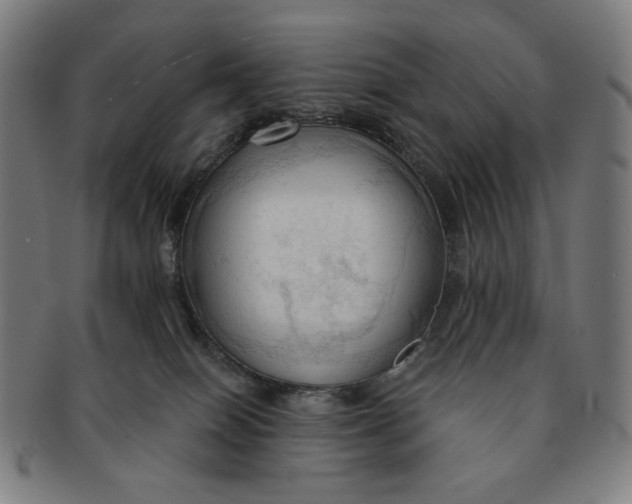 X0000090980086200708241413