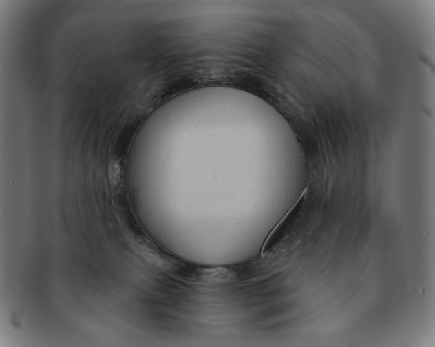 X0000090980087200708241413