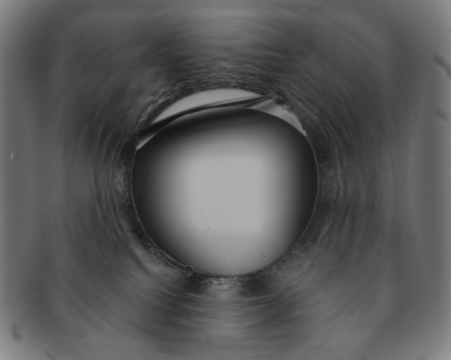 X0000090980088200708241413