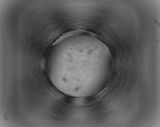 X0000090980090200708241413