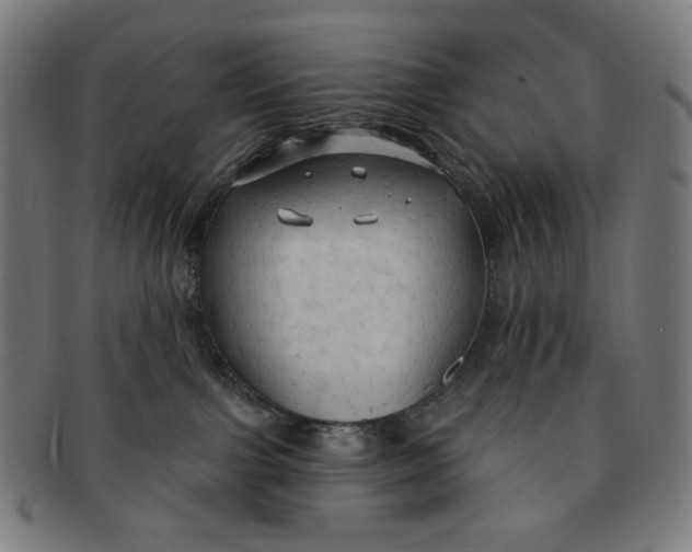 X0000090980091200708241413