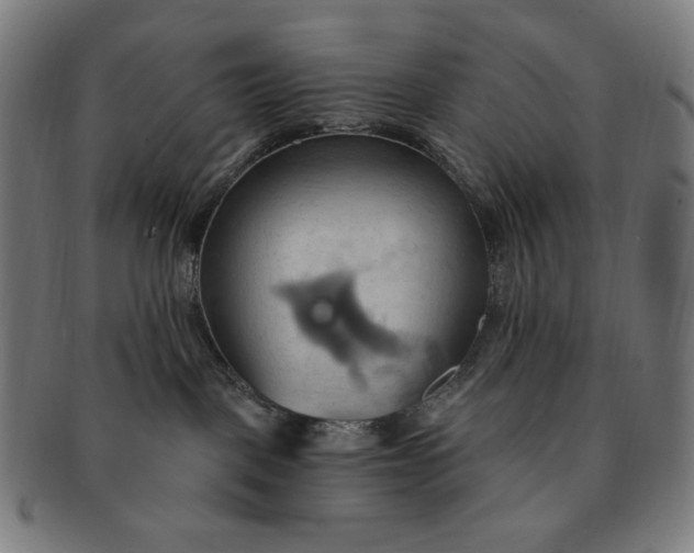 X0000090980093200708241413