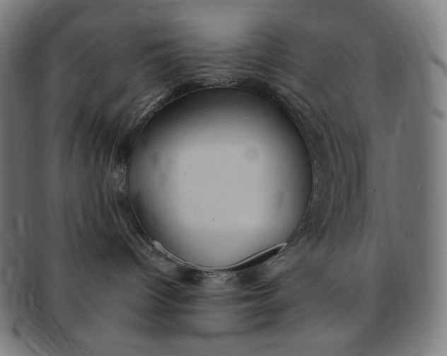 X0000090980096200708241413