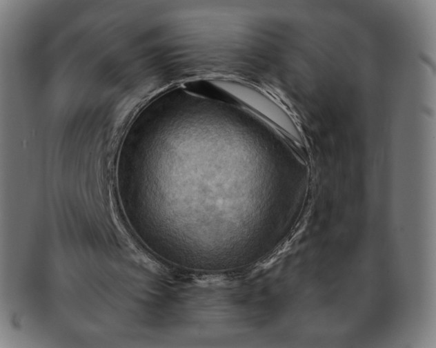 X0000090980097200708241412
