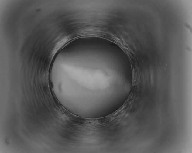 X0000090980099200708241412