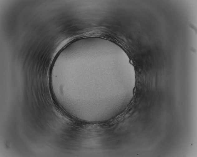 X0000090980100200708241412