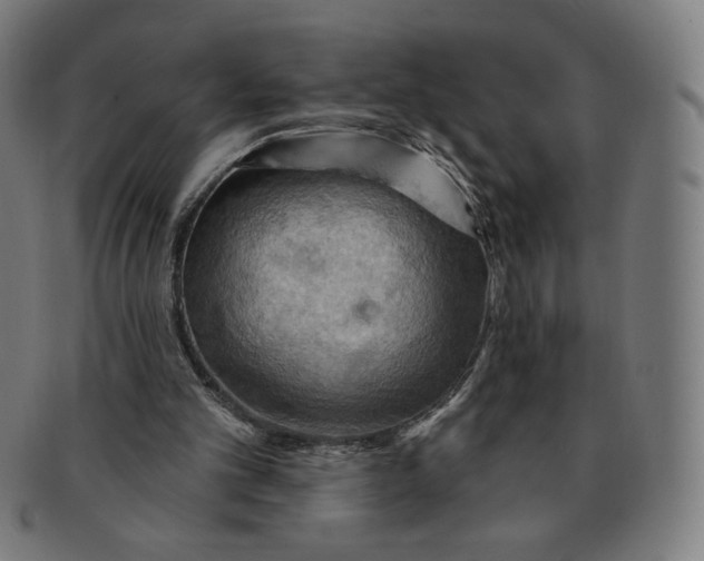 X0000090980101200708241412