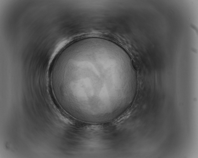 X0000090980102200708241412