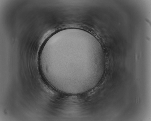 X0000090980104200708241412