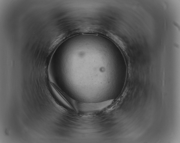 X0000090980105200708241412