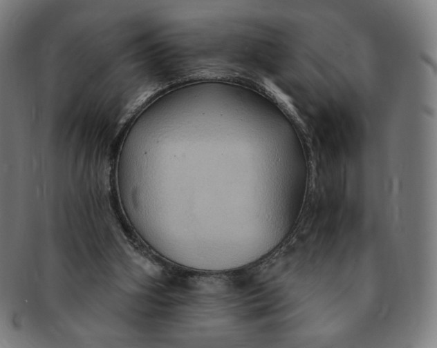 X0000090980106200708241412