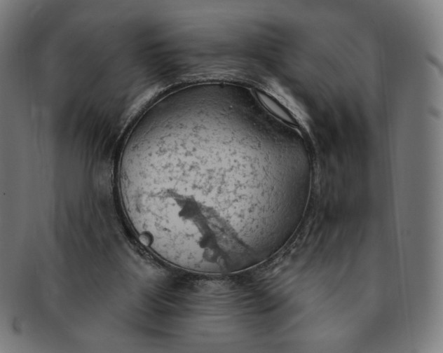 X0000090980107200708241412