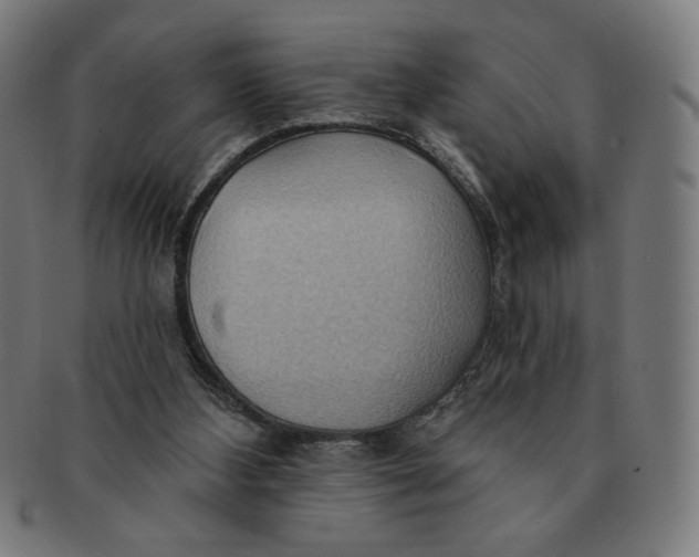 X0000090980108200708241412