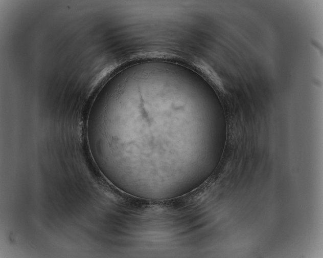 X0000090980111200708241412
