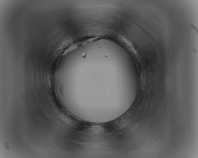 X0000090980114200708241412