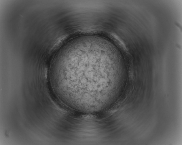 X0000090980115200708241412