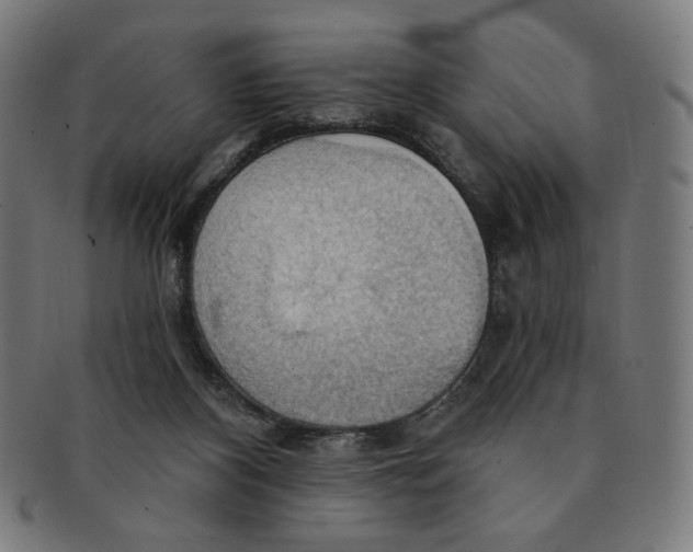 X0000090980116200708241412