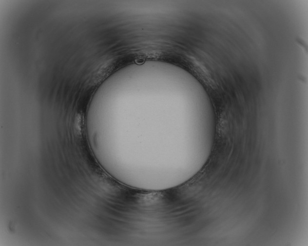 X0000090980122200708241412
