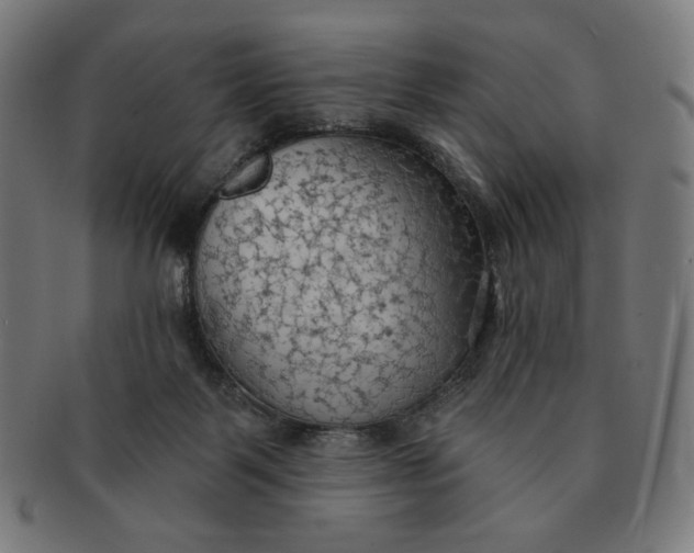X0000090980123200708241412