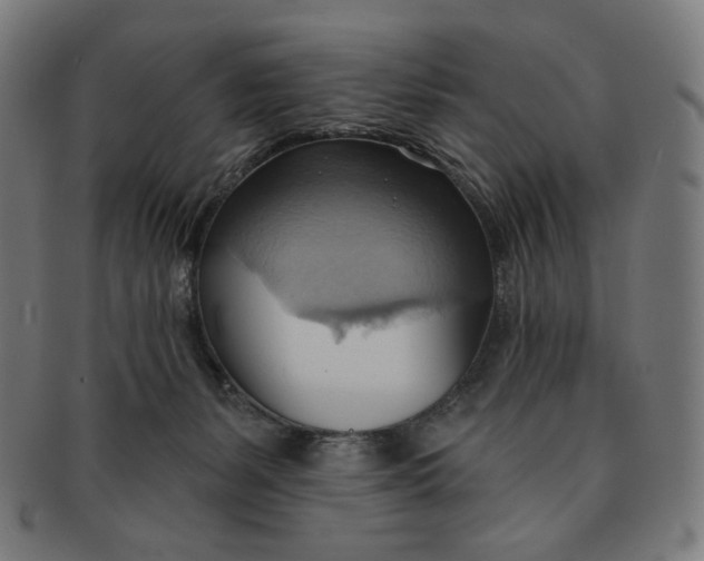 X0000090980127200708241412