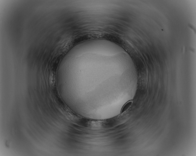 X0000090980134200708241412