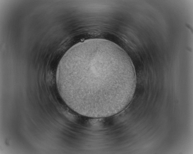 X0000090980136200708241412