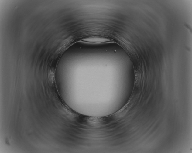 X0000090980142200708241411