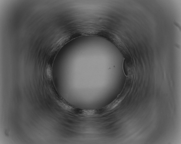 X0000090980143200708241411