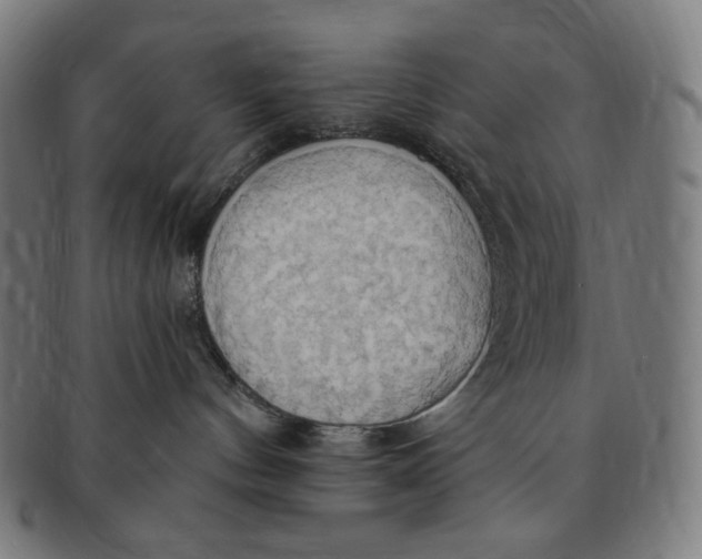 X0000090980144200708241411