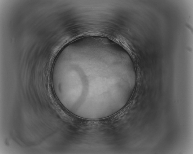 X0000090980145200708241411