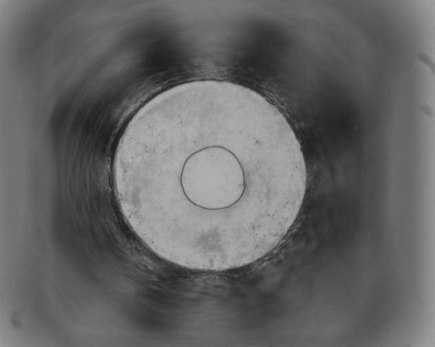 X0000090980146200708241411