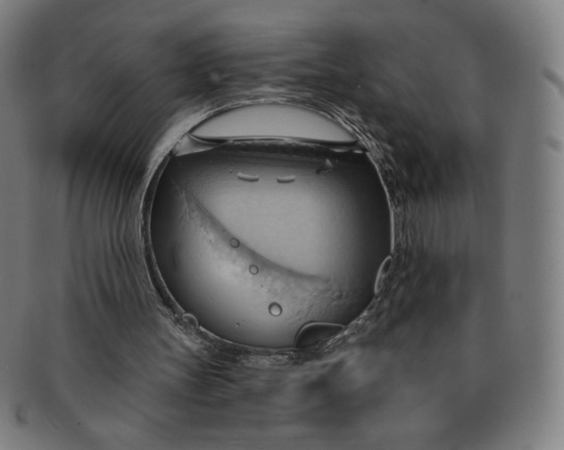X0000090980147200708241411