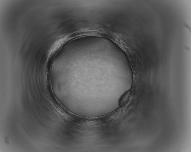 X0000090980149200708241411