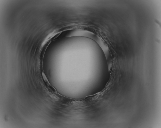 X0000090980150200708241411