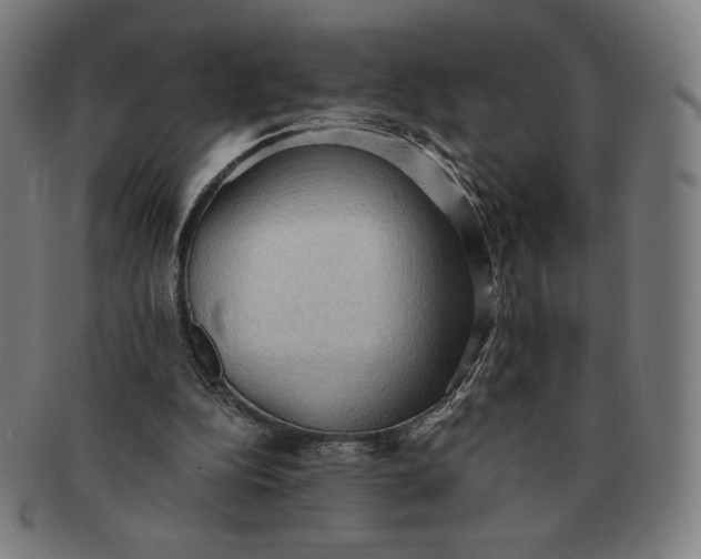 X0000090980152200708241411