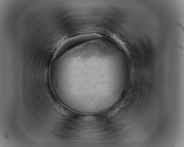 X0000090980153200708241411